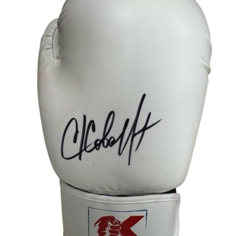 Hand Signed Glove of Sergey 'Krasha' Kovalev WBO Light Heavyweight Champion