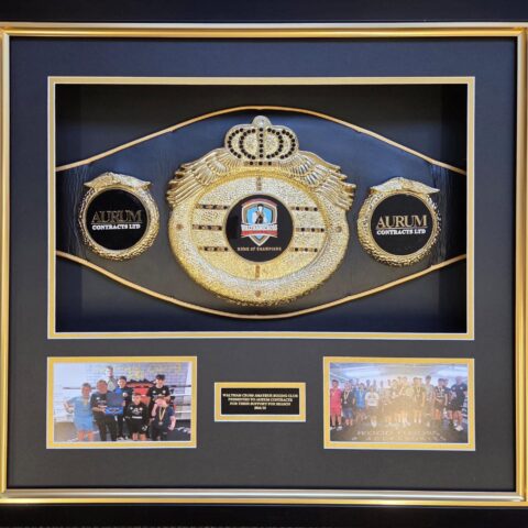 Framed Boxing Belt